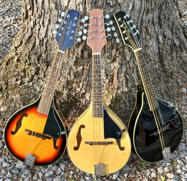 Your Choice $145: Brand New Mandolin
