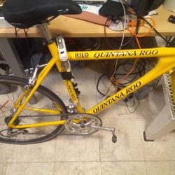 Quantana Roo Kilo Private Reserve Bike!