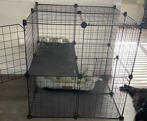 Cage