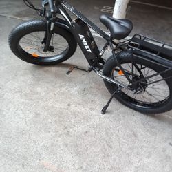E bike