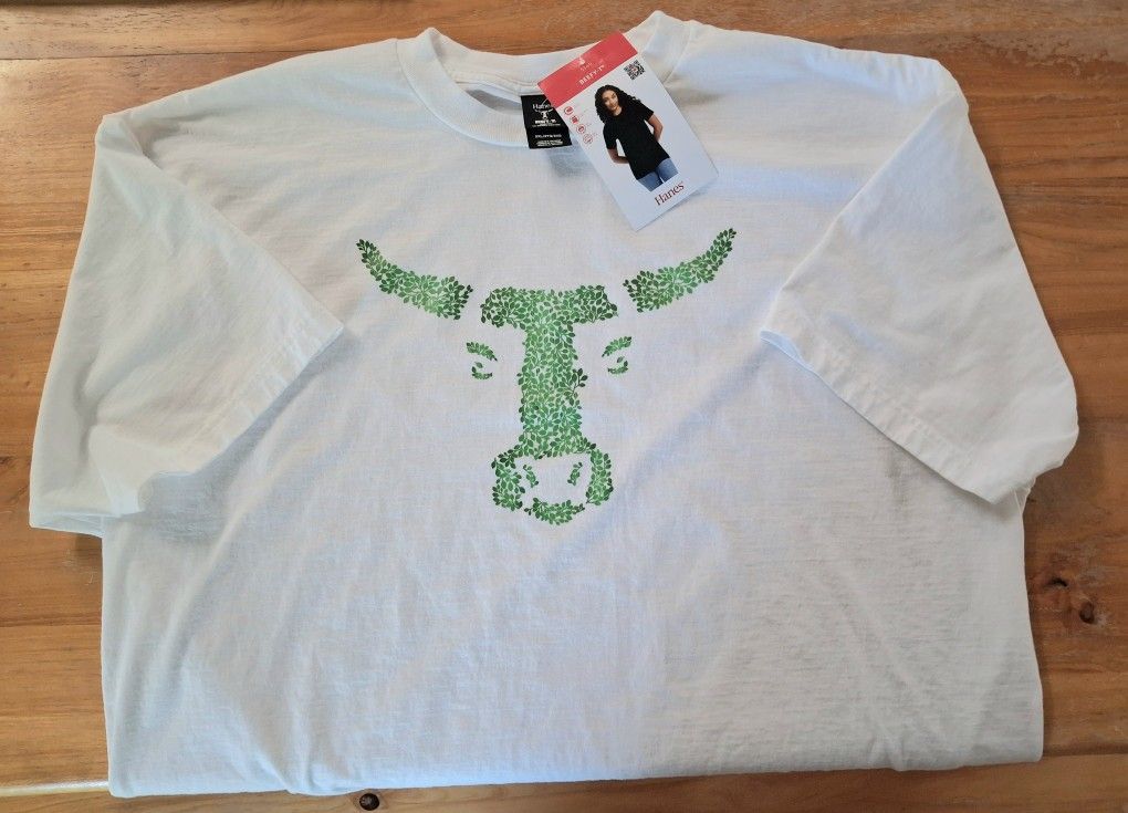 Brand New Hanes Beefy-T XXL