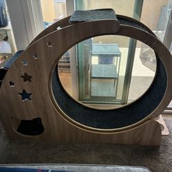 Cat Exercise Wheel 