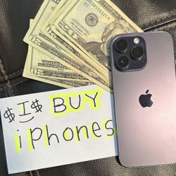 iPhone 15 pro Max  iPhone 14 pro max  iPhone 13 Pro Max  iPhone 12 Pro Max  iPhone 14 plus  iPhone 14  iPhone 13  iPhone 12  iPhone 11  iPhone 14 pro 