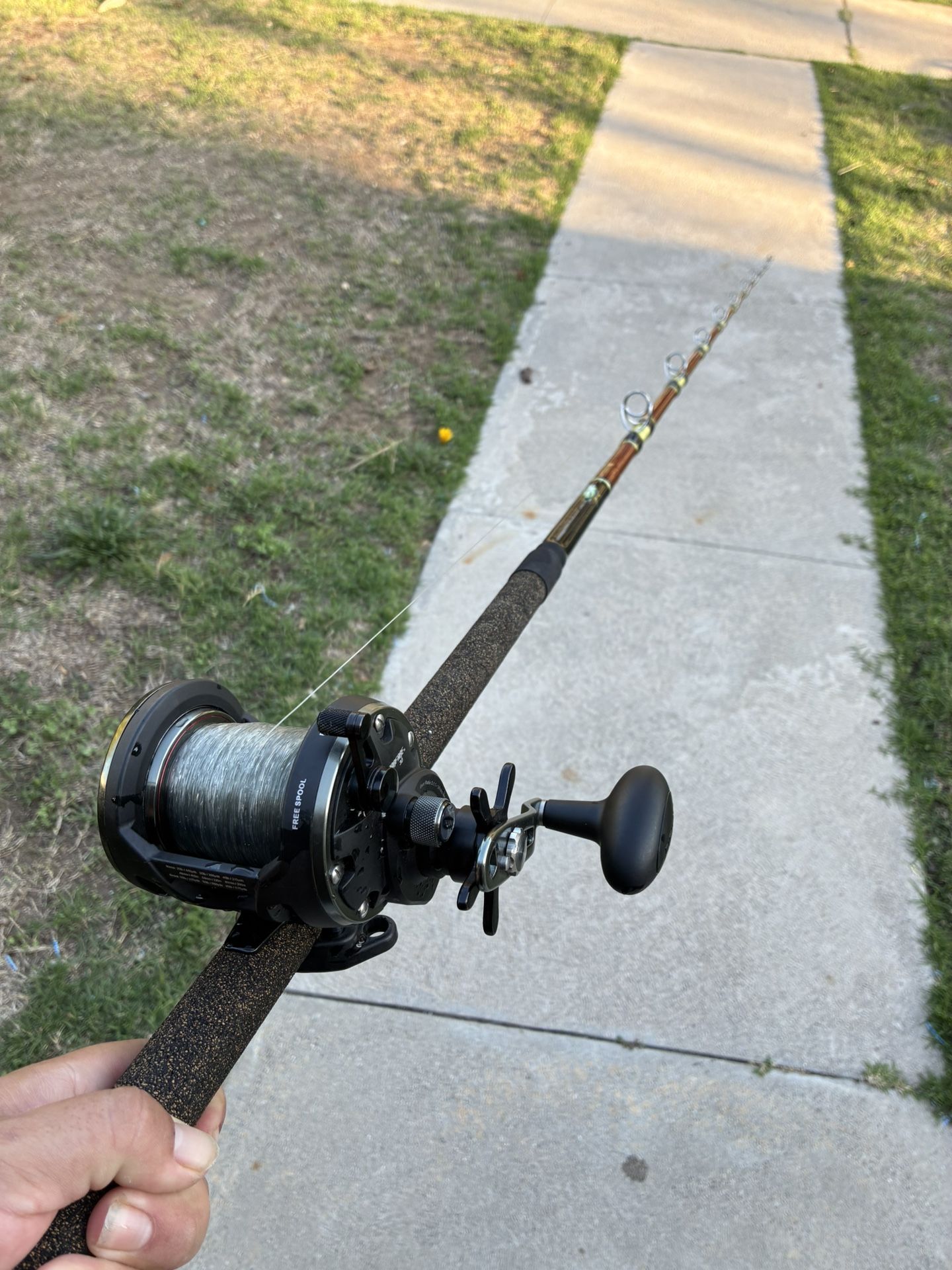 Fishing Rod Reel Combo Diawa Penn