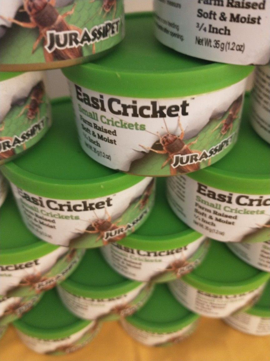 EASI CRICKETS FOOD