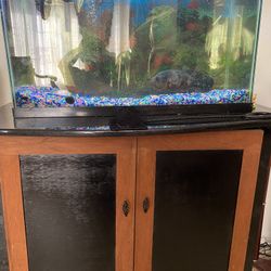 Fish Tank + Fish + Filter +light +decorations +heater+bobble Maker +samd