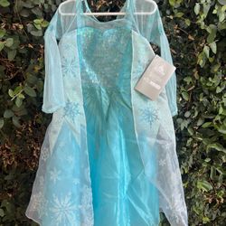 Disney Original Elsa Dress Size 4T