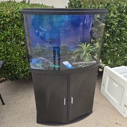 Fish Tank