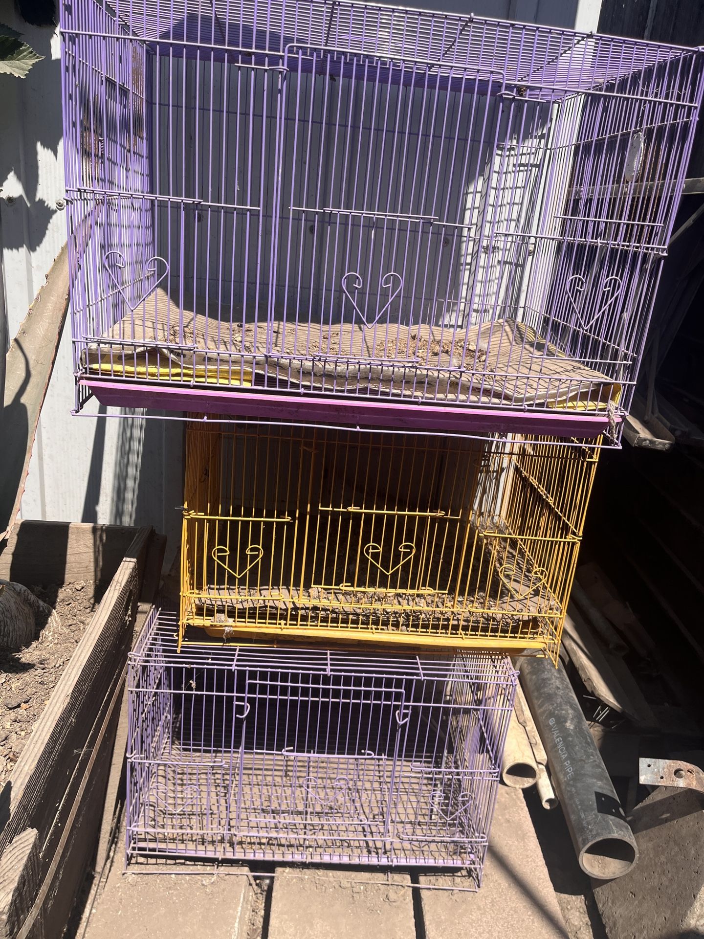 Bird Cage