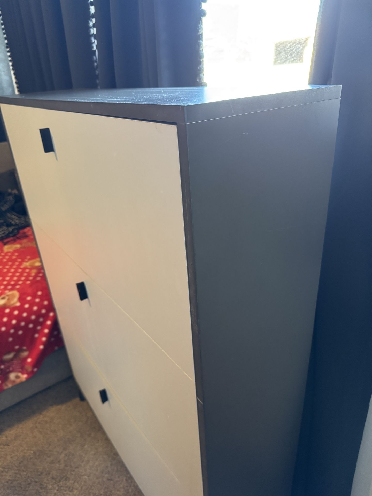 shoe storage cabinet
