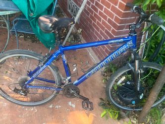 Cannondale F300