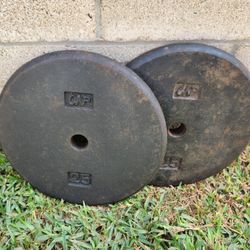 Vintage 2 Cap Weights