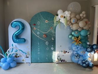 Birthday Party Decorations