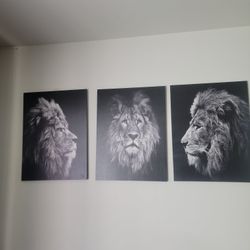 Lion Black & White Portrait Decor