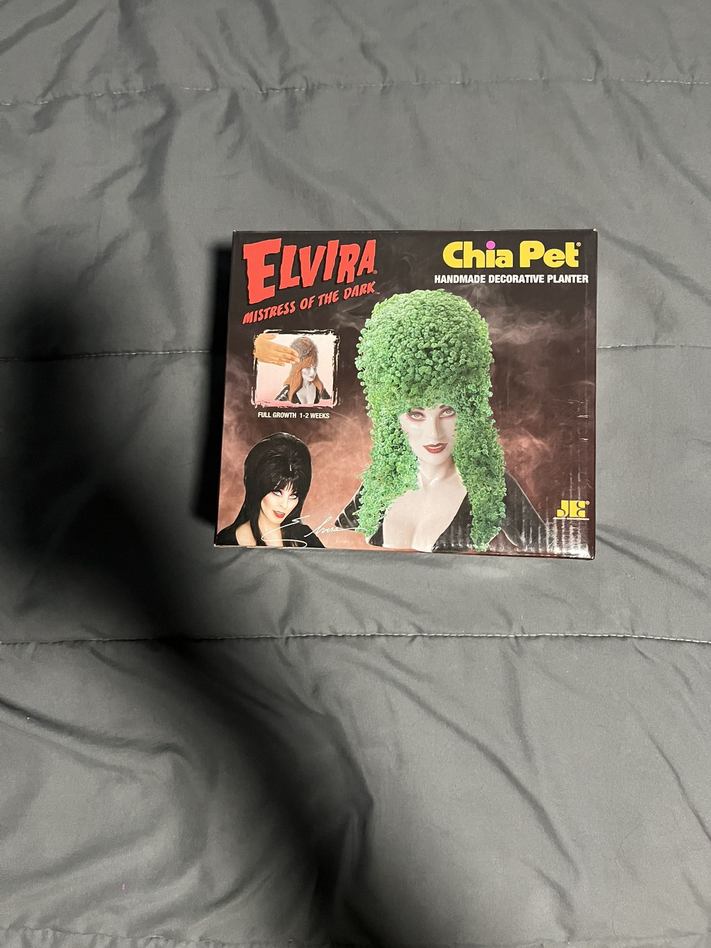 Elvira Chia pet