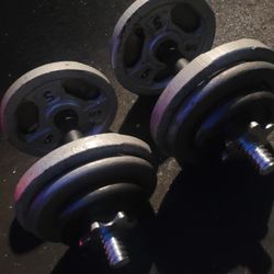 30lbs  Dumbells Weights 