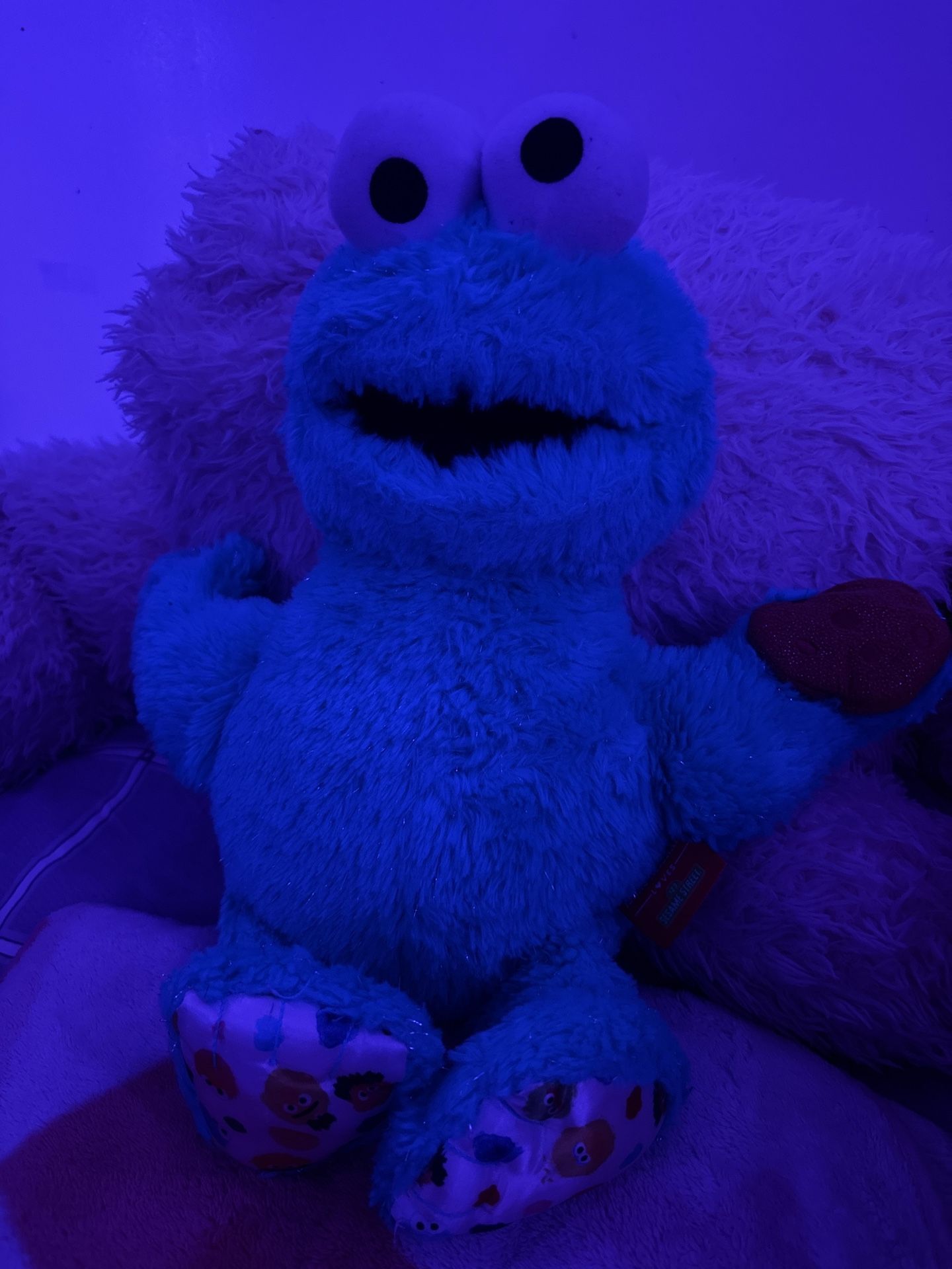 Cookie monster stuff animal