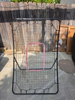 Baseball Pitchback
