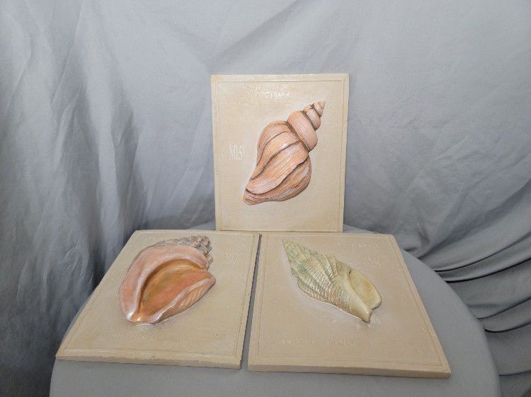 Set of 3 Shell Tile 3D Wall Decor, Good Quality! Has Some Weight To Them , Beautiful Whelk, Ostrich Foot, & Beak Shell!  Measures 12 1/4"H x 10"W