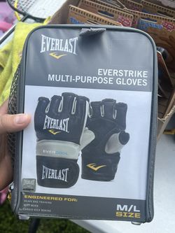 Everlast Gloves And Mini Mitts