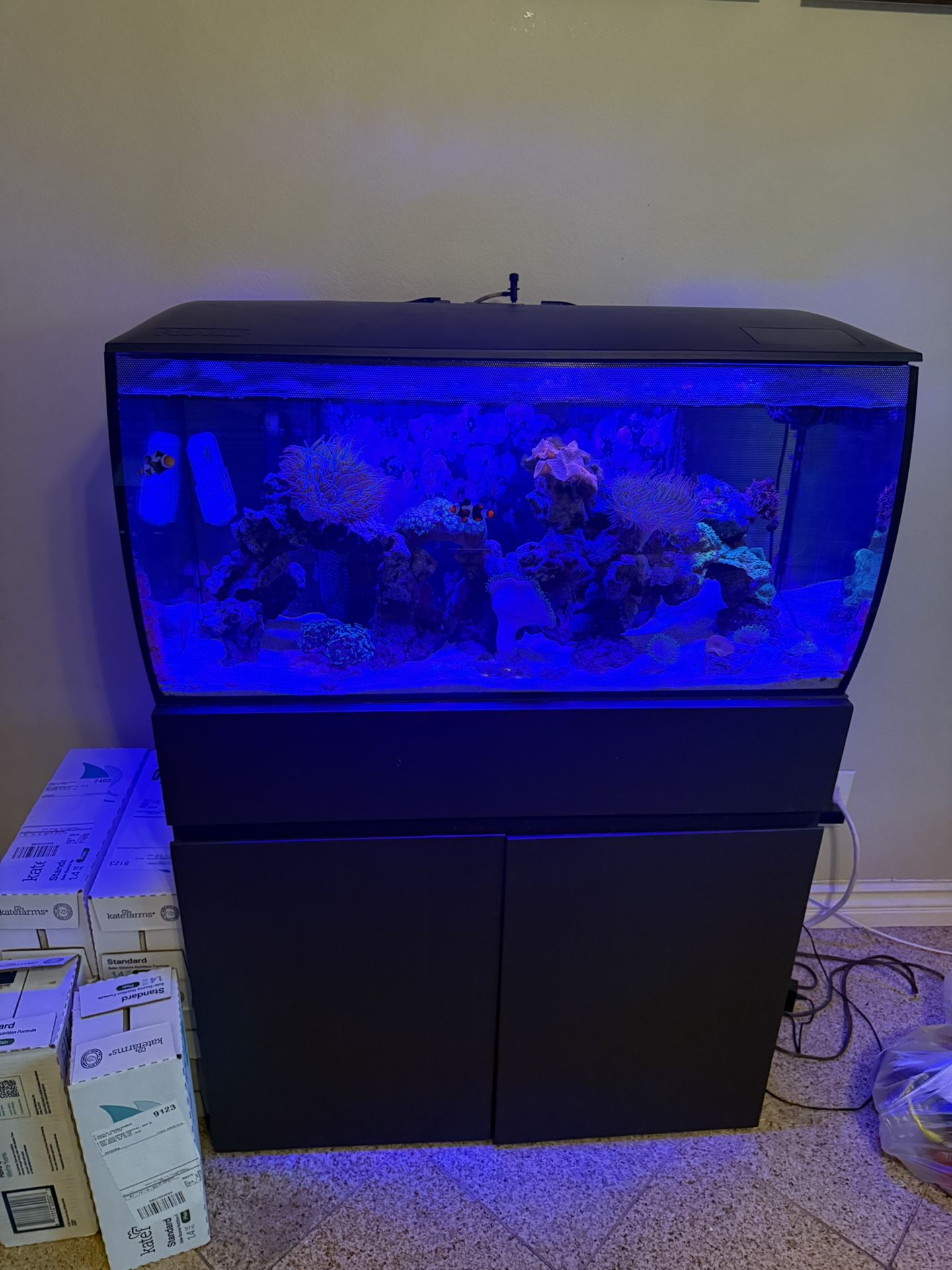 Fish Tank