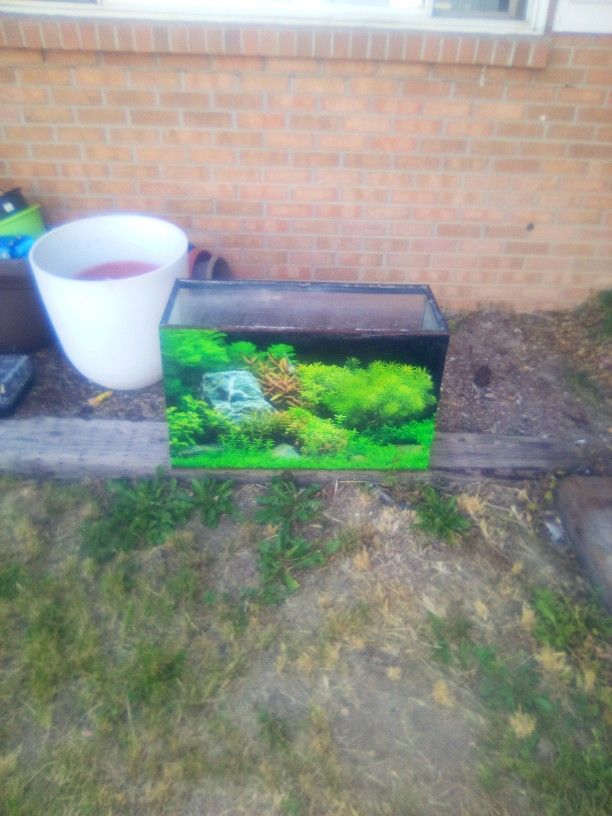 30gallon Aquarium