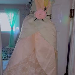 Princess Tiana Costume 