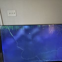 75 Inch Roku  Tv-need New Screen