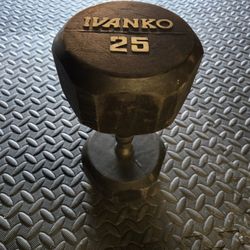 25lb Dumbell Single 