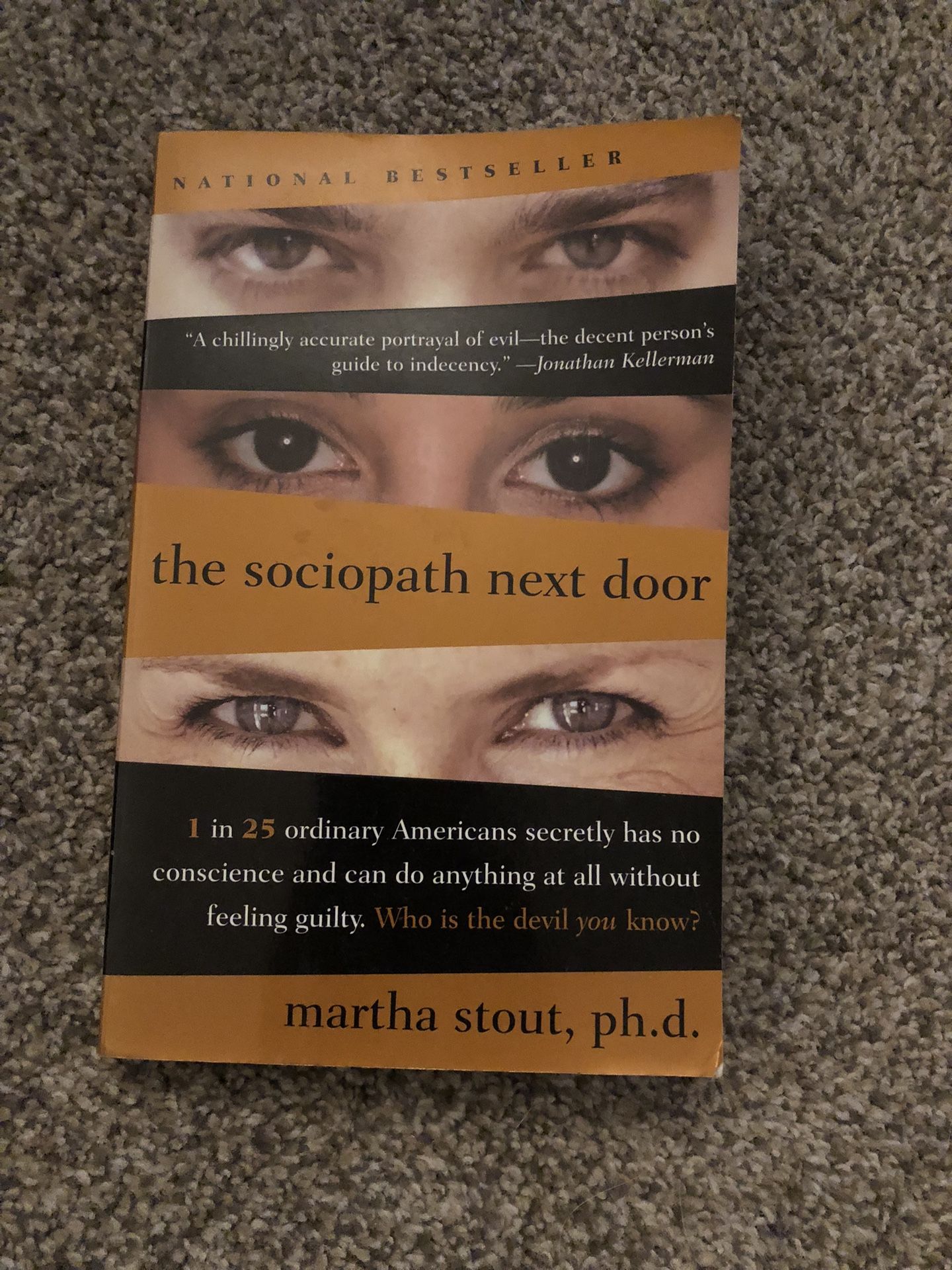 The Sociopath Next Door