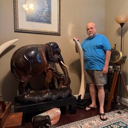 Large hand made all teak wood elephant with stand from Thailand