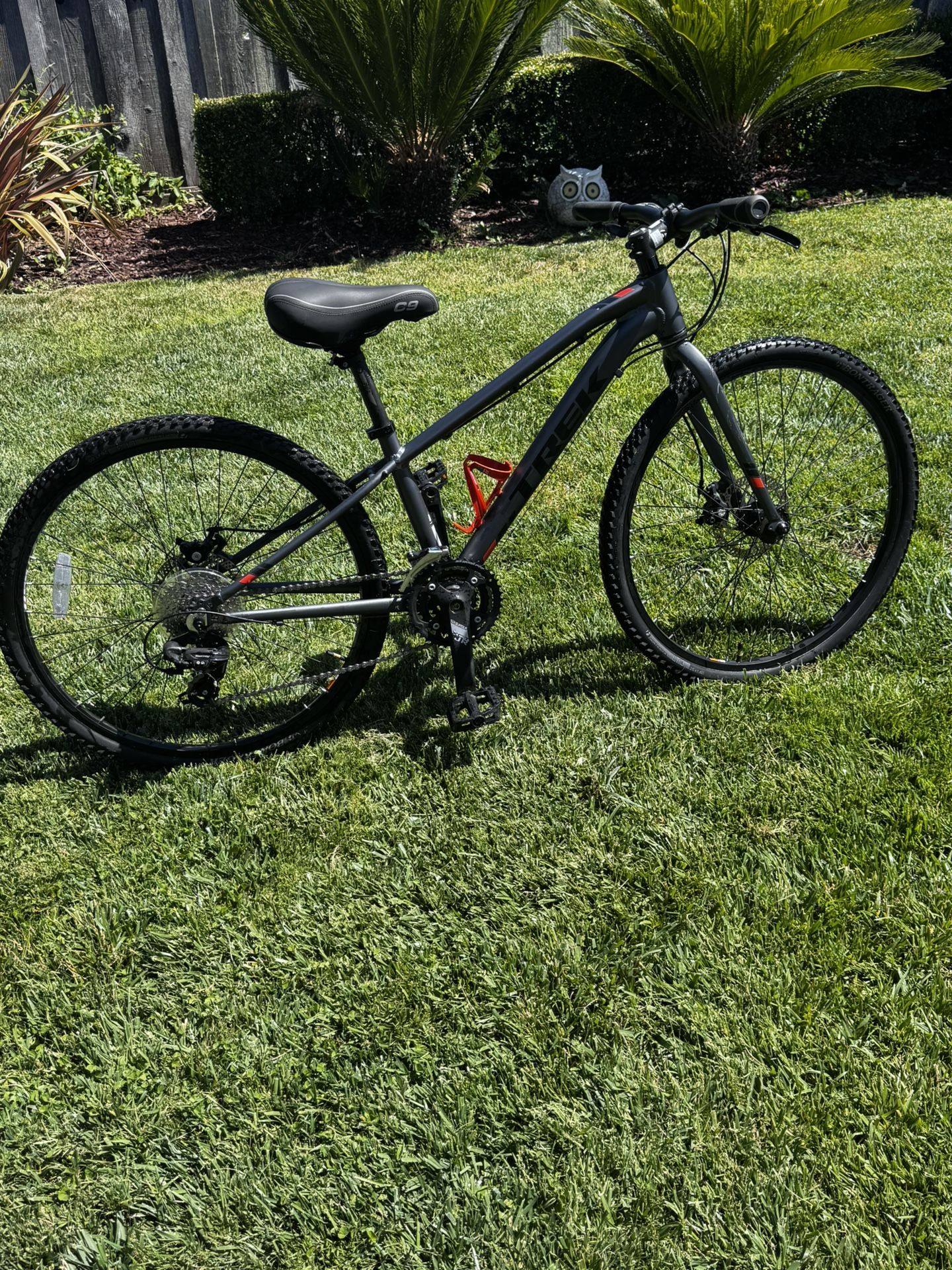 Trek Dual Sport