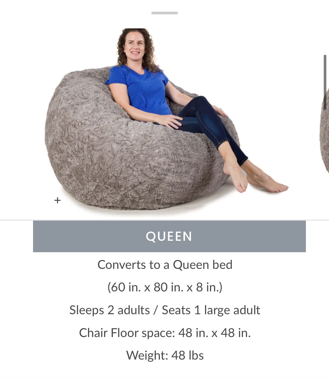 Bean bag chair online converts to queen bed