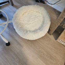 Cat Bed