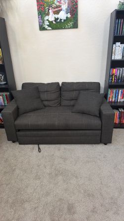 Pull out love seat