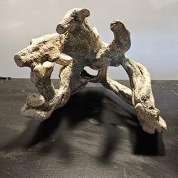 Medium Sized Aquarium Decor