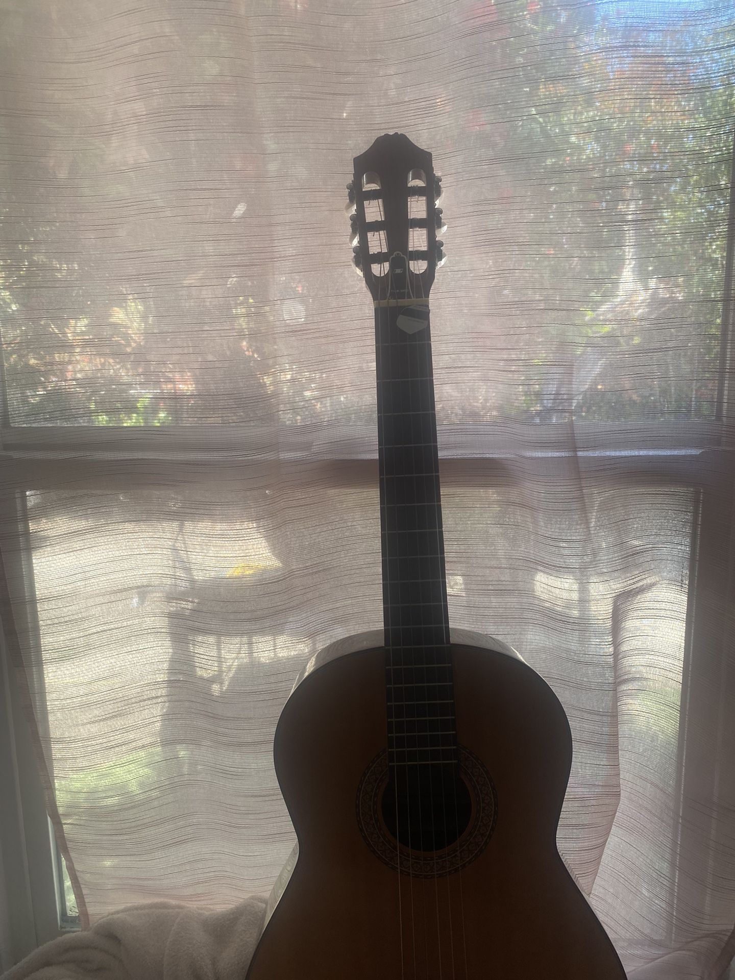 Japanese Guitar