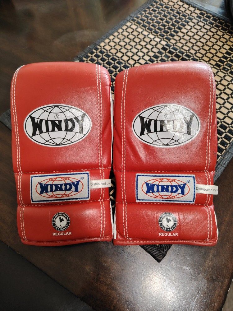 Medium Size Windy MMA Gloves