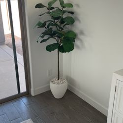 Fiddle Leaf Fig Tree (faux)