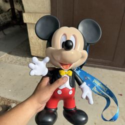 Disney Popcorn Bucket 