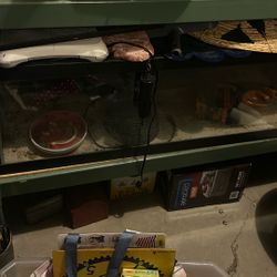 Large Glass Tank Includes All Items Inside Tank