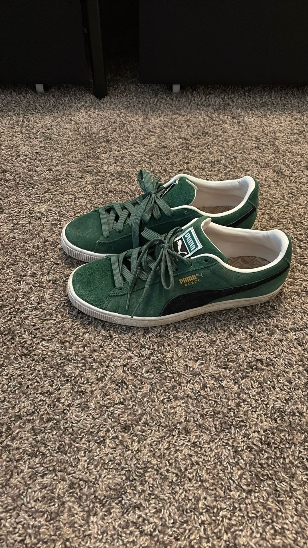 9.5 In Men’s Pumas