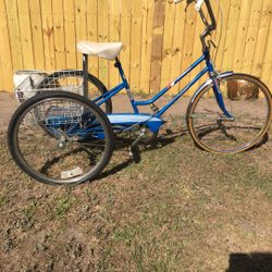 1975 Columbia 3 Speed Trike.