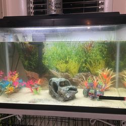 30 Gallon Fish Tank 