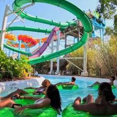 Adventure Island *****