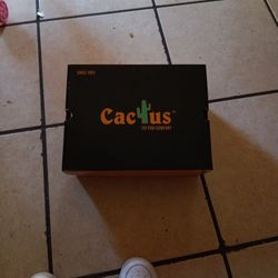 New!!!  Cactus logger Boots 