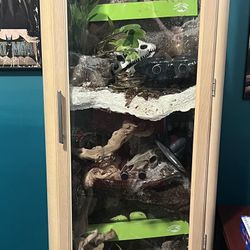 Reptile Terrarium 