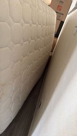 Free bed full size. Can be cleaned