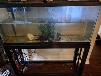 Fish tank and stand