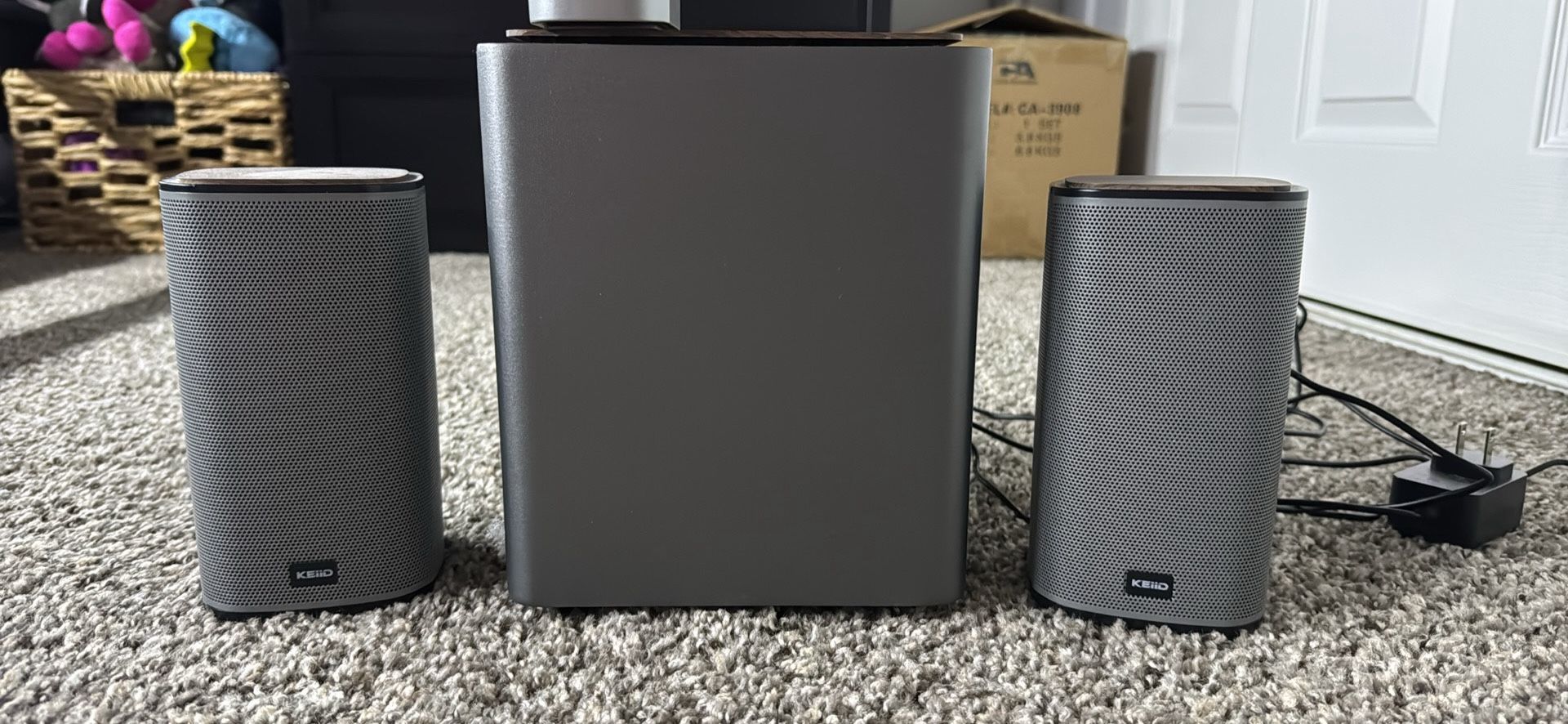 Computer Speakers & Sub